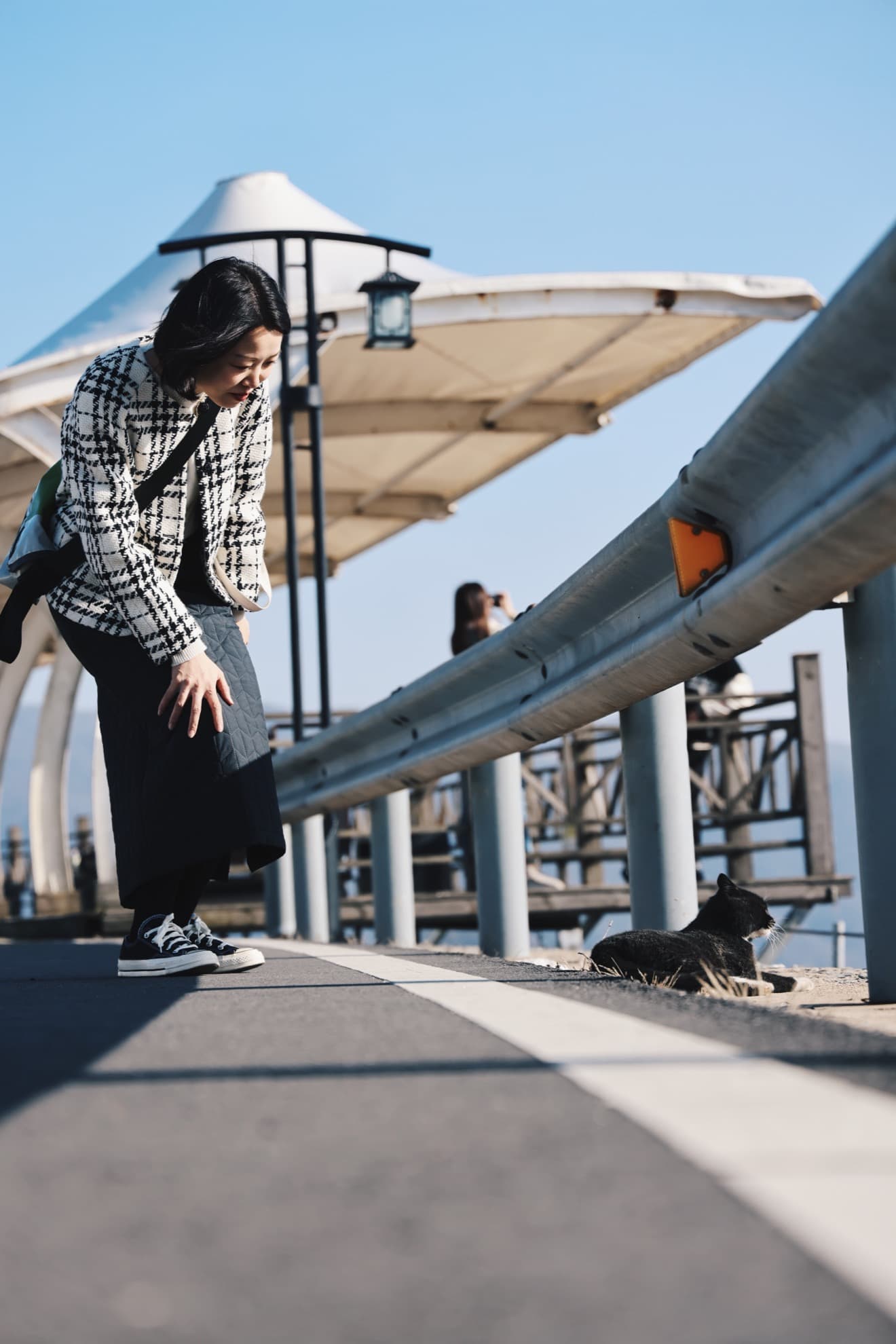 Hi cat, what are you doing?