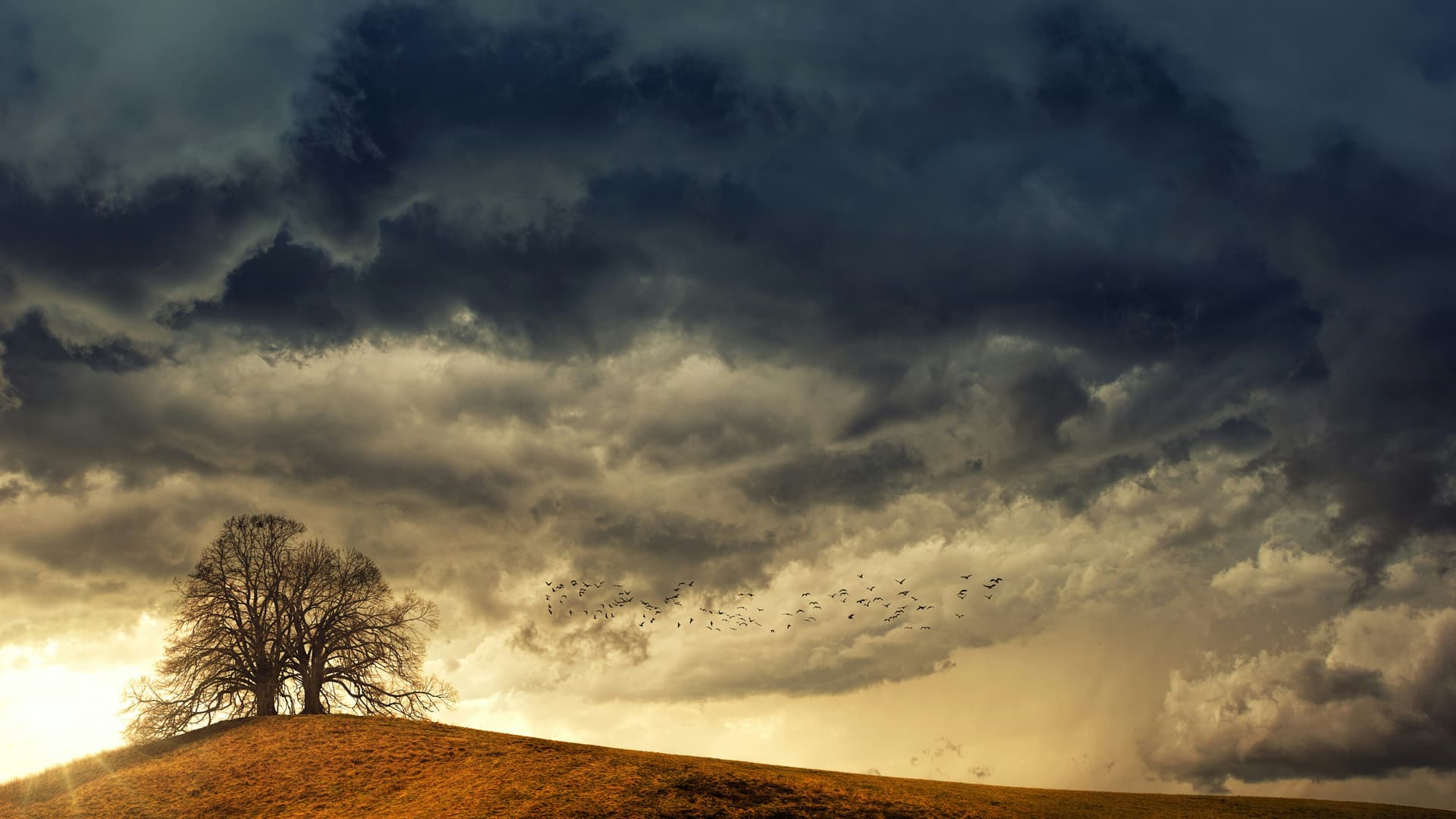 Grandma went to heaven