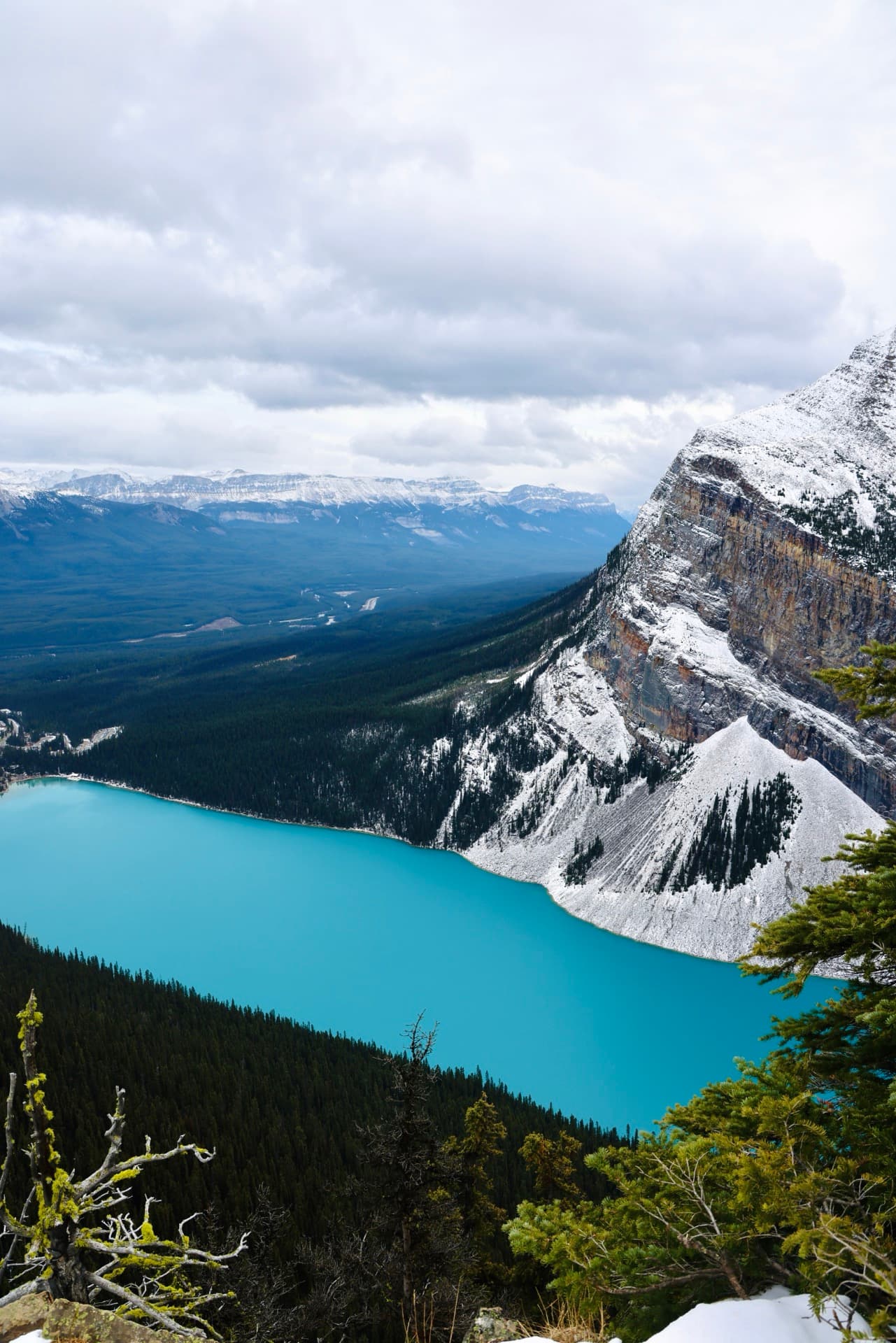 Lake Louise from the top of the mountain