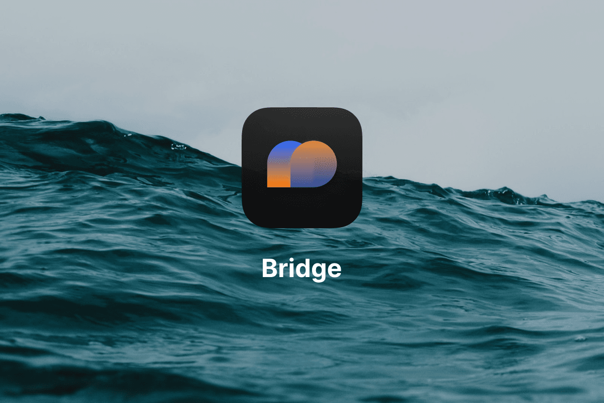 Bridge gallery 1
